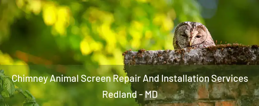  Chimney Animal Screen Repair And Installation Services Redland - MD