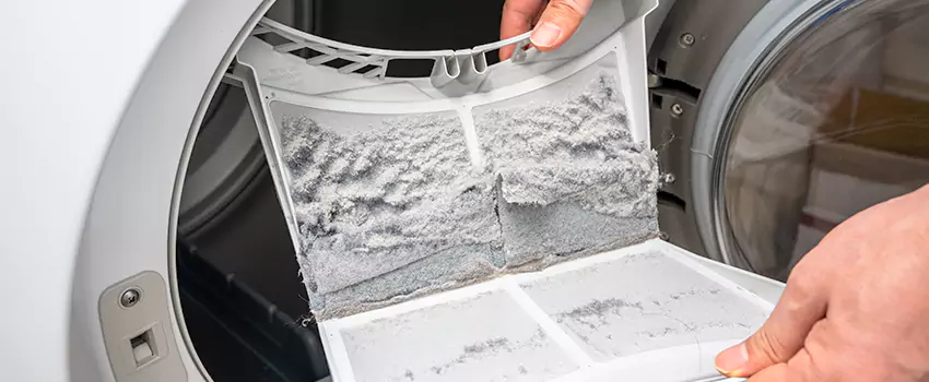 Best Dryer Lint Removal Company in Redland, Maryland